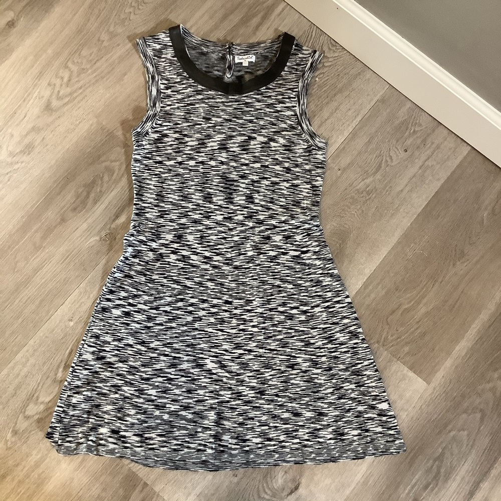 Splendid Skater Dress